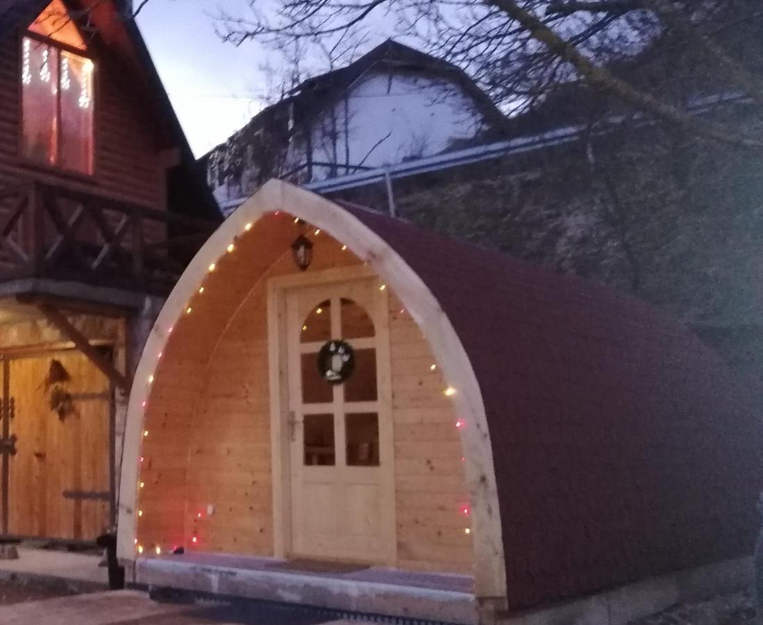 Vila Jelena - Bungalov Crni Vrh Buitenkant foto