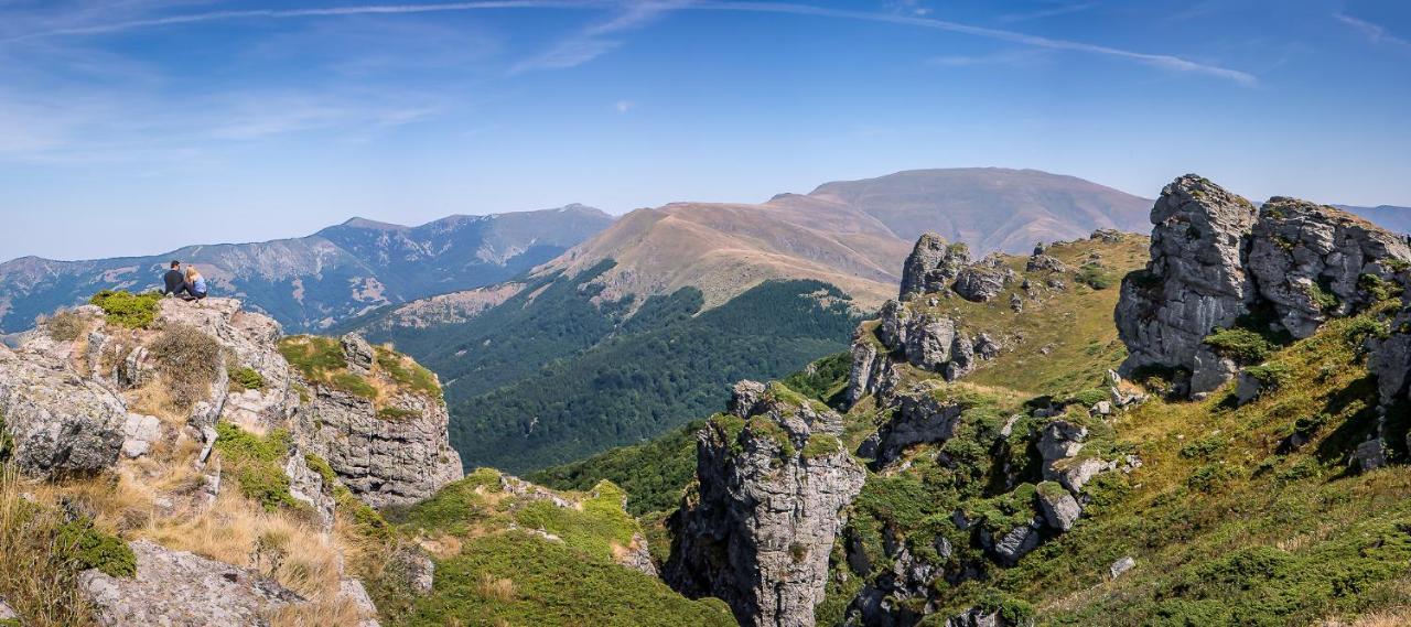 Vila Jelena - Bungalov Crni Vrh Buitenkant foto