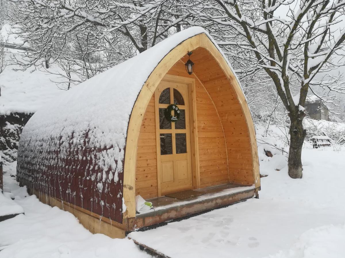 Vila Jelena - Bungalov Crni Vrh Buitenkant foto