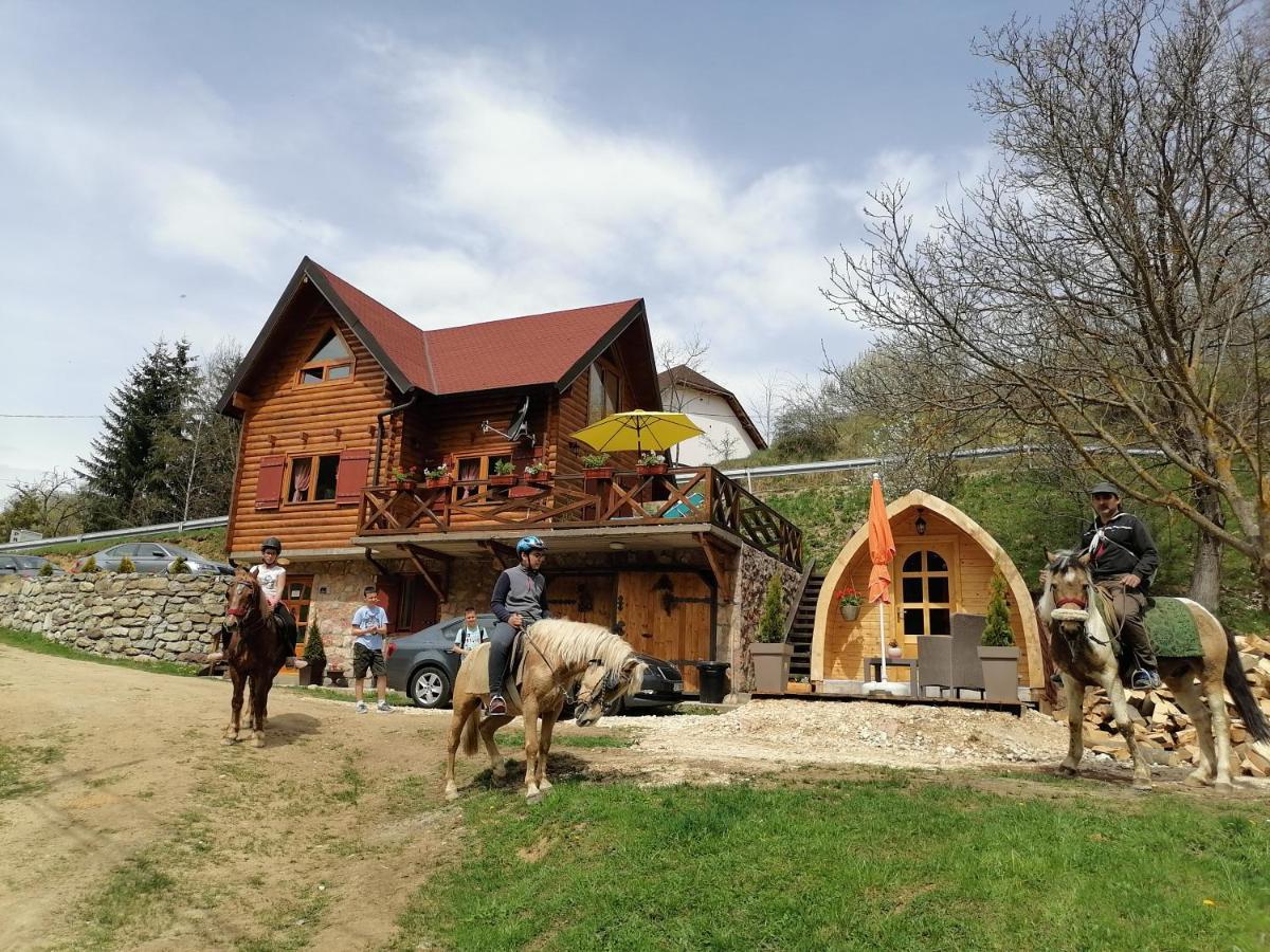 Vila Jelena - Bungalov Crni Vrh Buitenkant foto